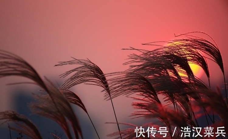 龙鹤$谁说当代无好诗?推荐30首佳作,写尽人生悲欢,深秋情思最动人心