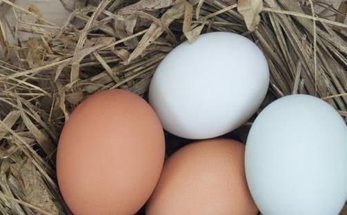 常给孩子吃此物，多贵也别省，孩子眼睛不近视，个头也高了