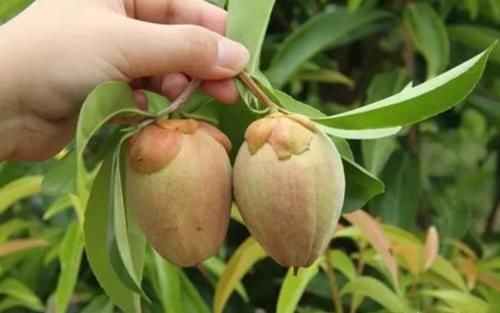 谁若见到这“东西”，请把双手放在口袋里，因为价值不允许你乱来