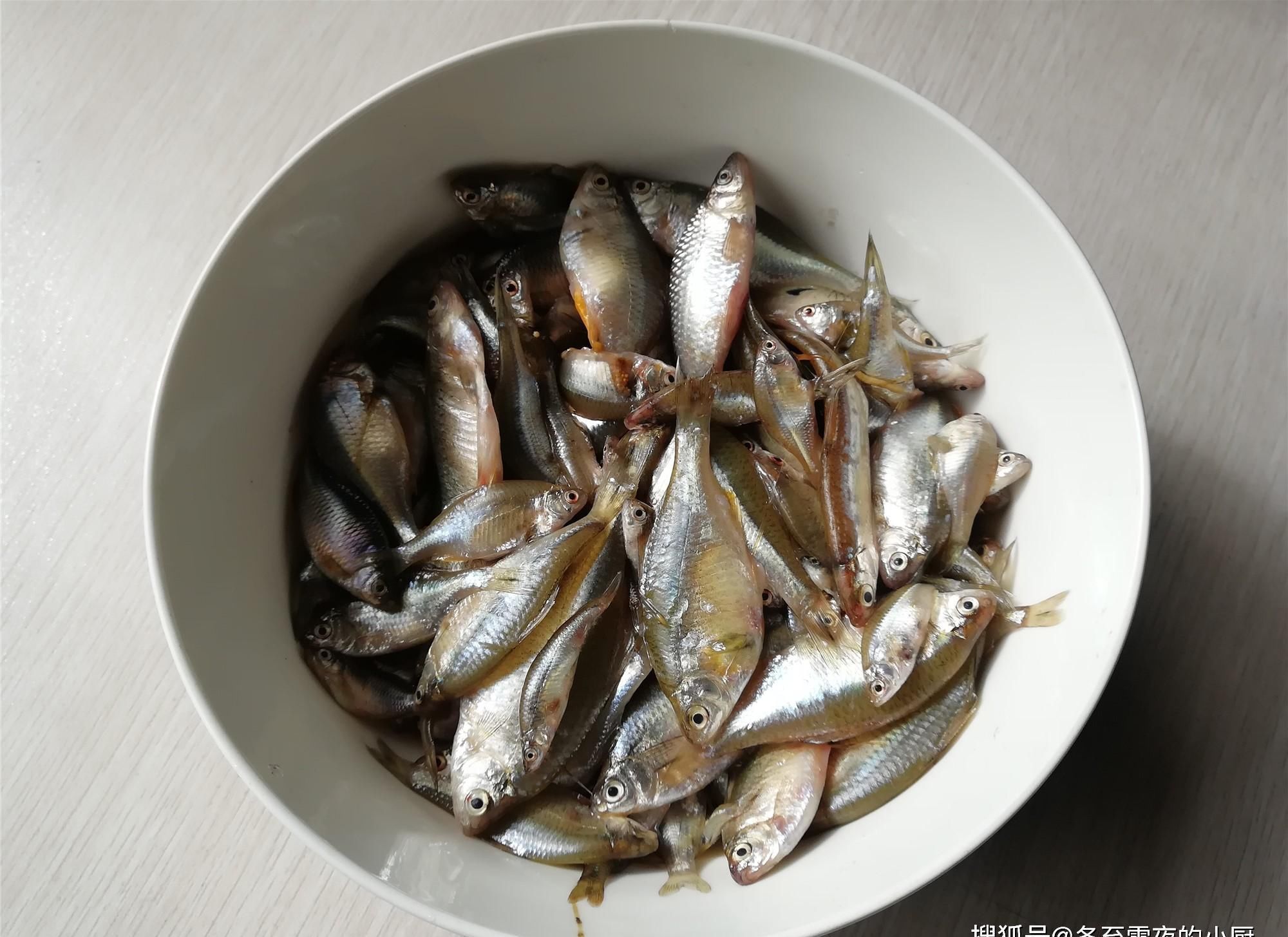 酱香|一道用小河鱼做的东北农家菜,比鸡蛋酱好吃,酱香味浓、特别下饭