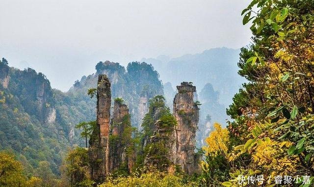 中国境内这座原始森林，如同人间仙境一样，惊动了美国好莱坞