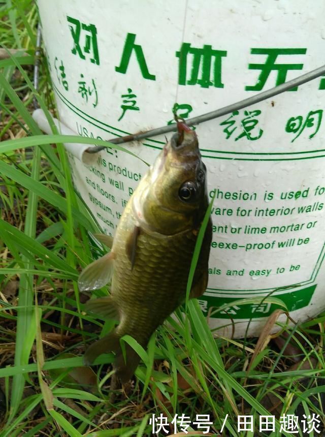 野钓小技巧浮漂做一个小改动,惊鱼几率大降