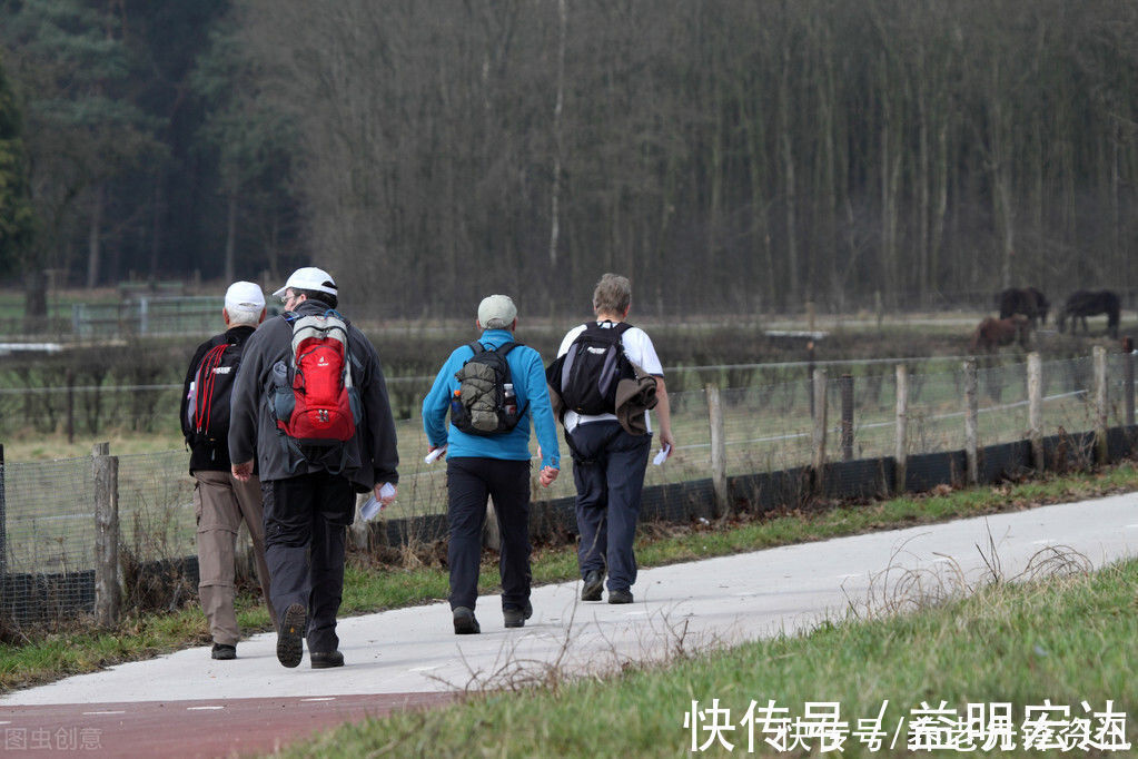 慢性疾病|走路快慢影响老年人是否长寿！想健康长寿，要这么走