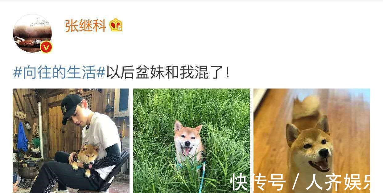 为什么张继科想带走“瓢”，却带走了“盆”原因太搞笑