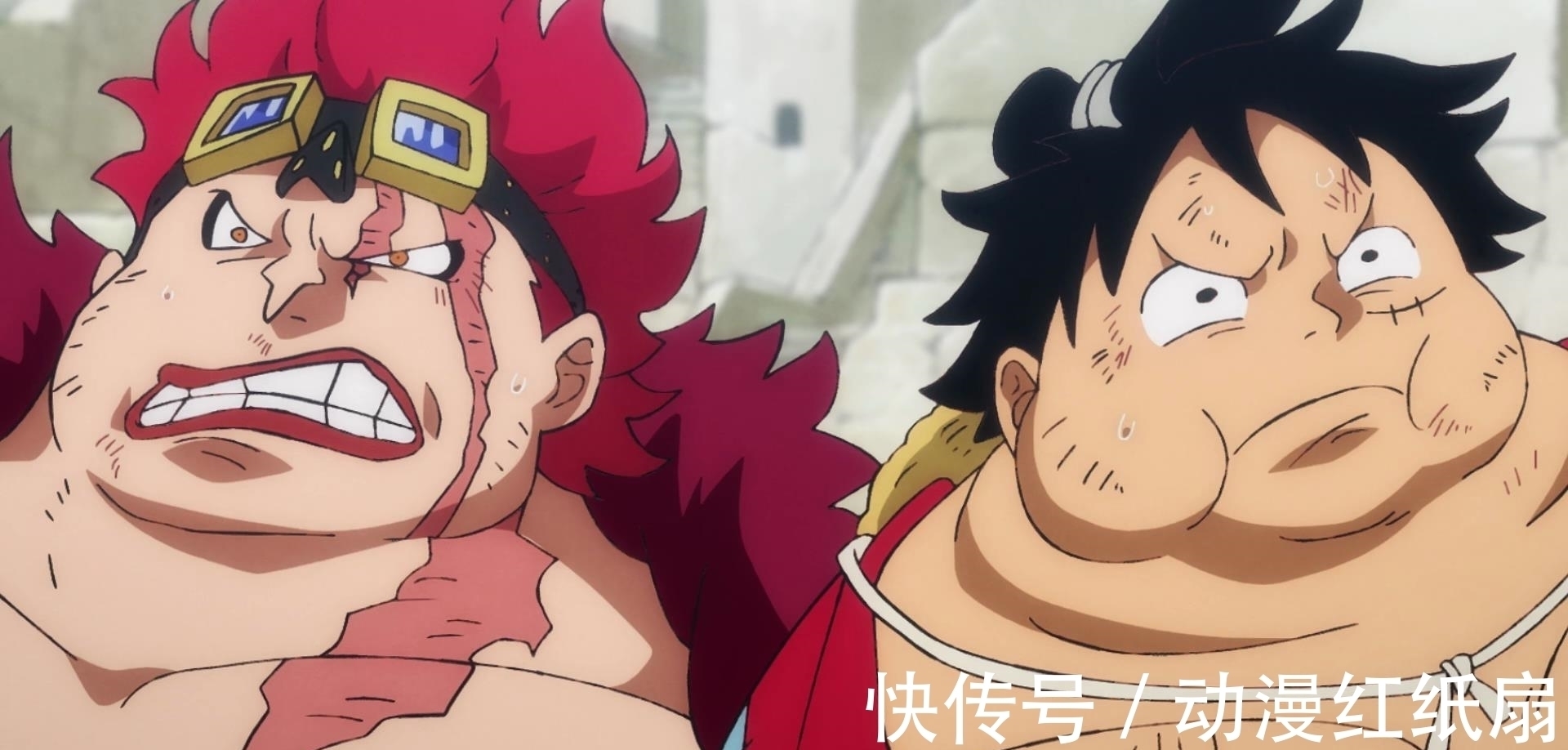 橡胶果实|海贼王,误食恶魔果实的4位大佬,结果各不相同,有人还成了皇