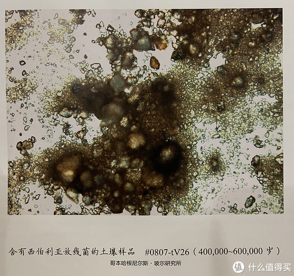  生命|图书馆猿の2020读书计划83：《世界上最老最老的生命》