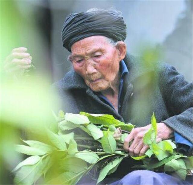 清朝末年|他是中国长寿之王,终身未娶活到133岁,生前唯一爱好却不太健康