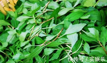 养肝护肝|女人不想肚子圆滚滚，4种野菜，刮油清脂，减肥瘦身，不妨多吃点