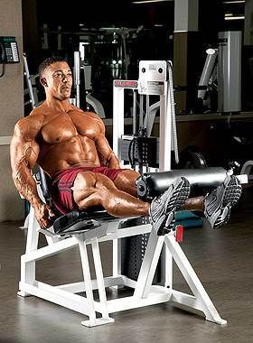 腿部|男人和女人都很难承受的腿部训练!你敢来练吗?