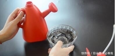 蚊香不用点,放在水里泡一泡,没想到作用这么大