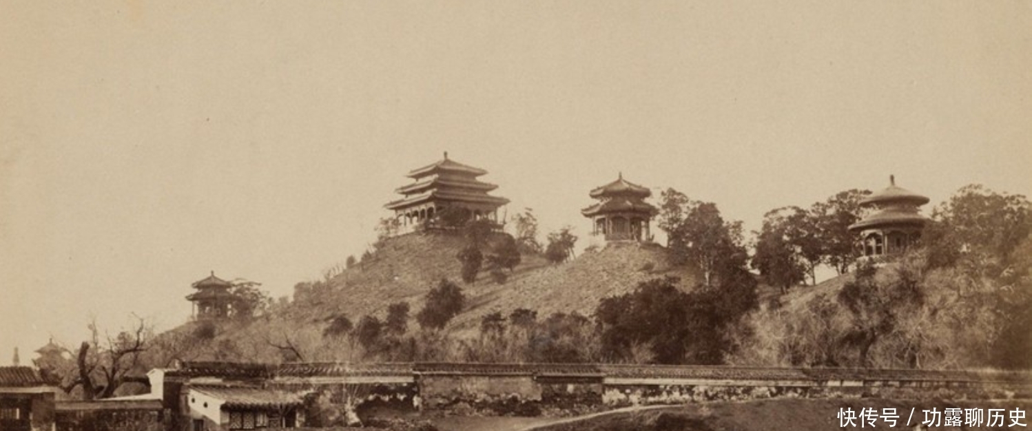 罪槐|崇祯帝自缢处，为得民心，将崇祯自缢的老槐树定名为“罪槐”