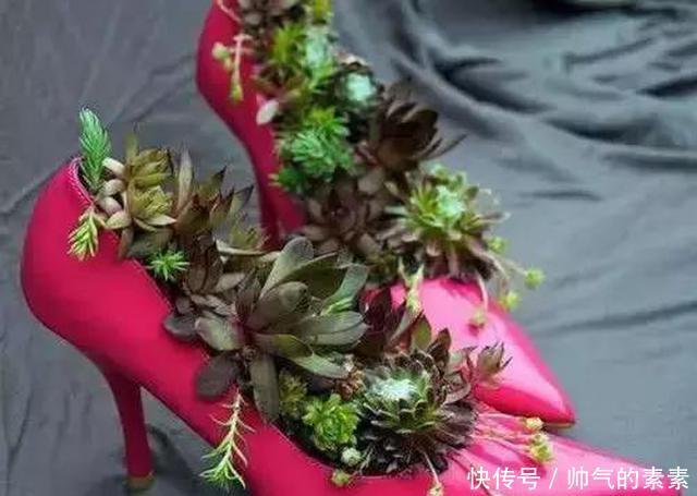 只要脑洞够，万物皆可花盆