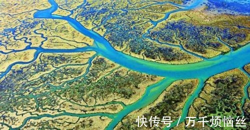 杀死|玉皇大帝为什么非要杀死泾河龙王,真的仅仅是下错了几滴雨!