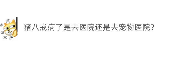 |今日段子：小伙年会中奖365天带薪年假，这算辞退吗？