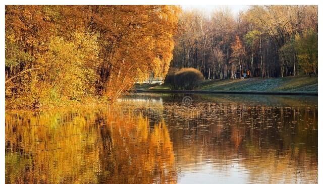 成绩|孩子成绩不好,不自觉,难管教,甚至顶嘴怎么办?教你一招全搞定