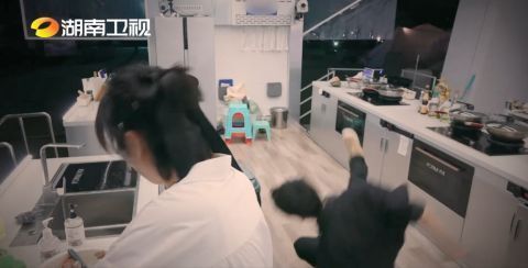 龚俊录《中餐厅》摔倒惹争议，苏有朋张亮也曾因此受伤