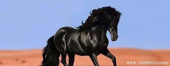 战马|战场杀器,三国时期最强的三匹战马