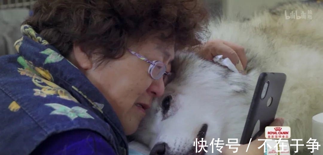 在《寵物醫(yī)院》呆一天，能看到多少人間離合？