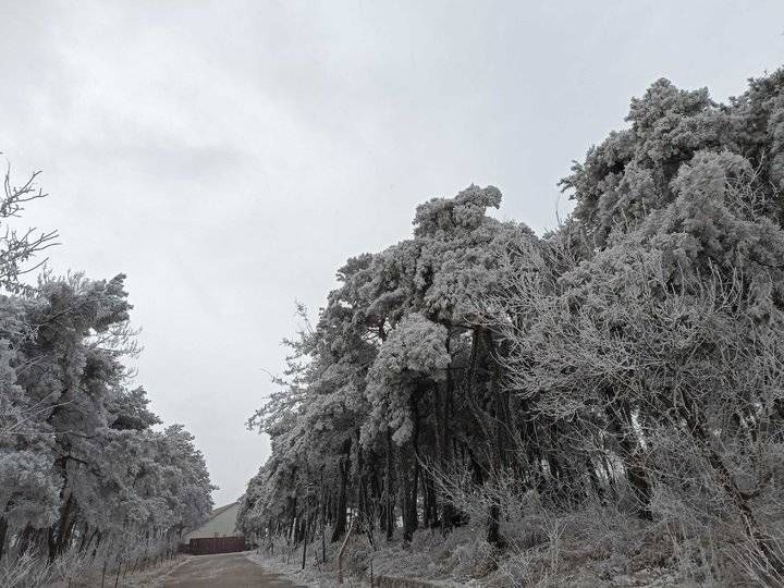 钟福生|宛若仙境！跑马岭景区出现雾凇景观