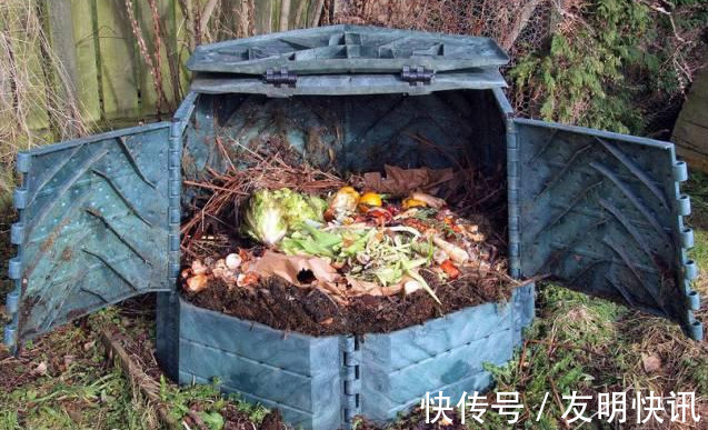 酸性|养花技巧醋、橘子皮、小苏打用来养花,好处多!