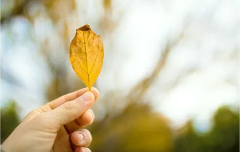 二十四节气|今日立秋！这份养生保健秘笈请收好