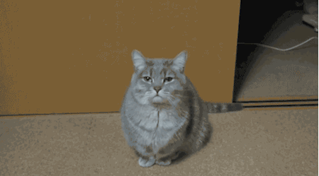 |搞笑GIF:小家伙的招式挺不错的,大哥是演员出身么?