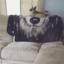 |搞笑GIF:今天和女朋友出门忘记带药怎么办