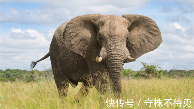 21个冷知识：虽然知道了也没有地方用，但是能丰富谈资的好玩知识