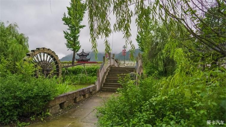 盛开|临安的盛夏避暑，不虚此行