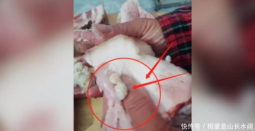 肉摊上买猪肉,回家一切流出白色膏体,女子直呼:这都是啥呀?