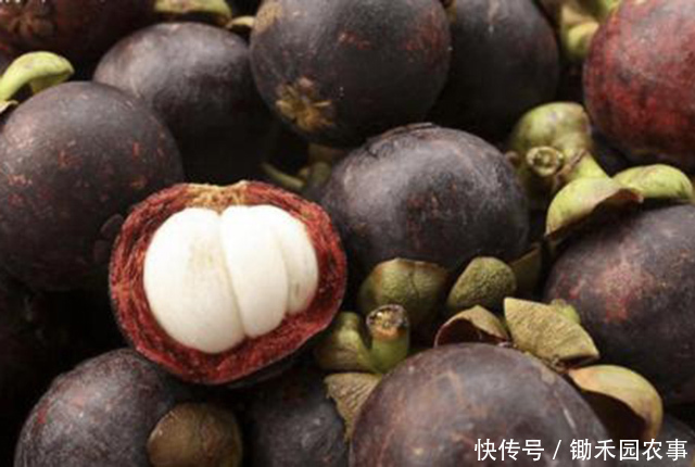 葡萄|吃葡萄吃出“香肠嘴”?不止葡萄,这些水果也会有过敏可能!