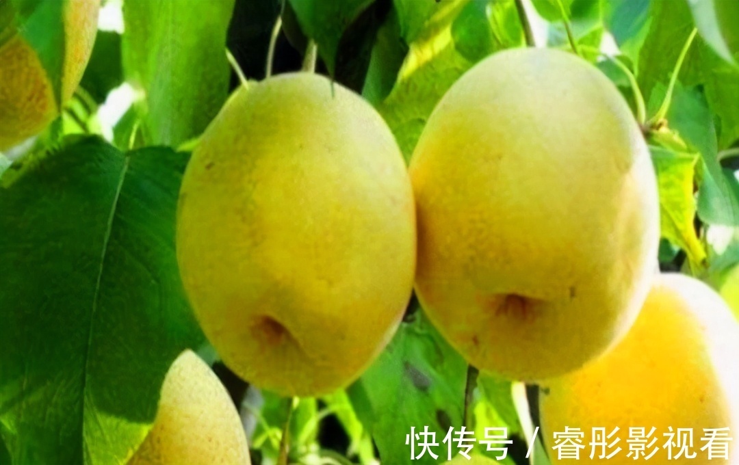 健康长寿|每天坚持吃3种食物,补充营养、滋润肌肤,好吃又不贵!