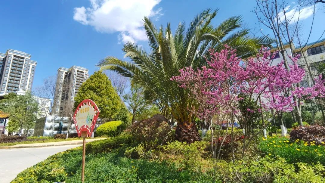 太平新城赏花地图新鲜来袭，一起看这“花花世界”