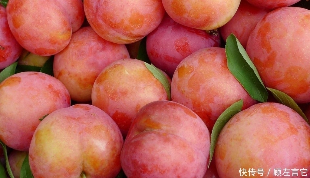 维生素b2|肝不好的人,多吃此“果”,帮助肝脏排毒,肝脏干净了,皮肤细腻