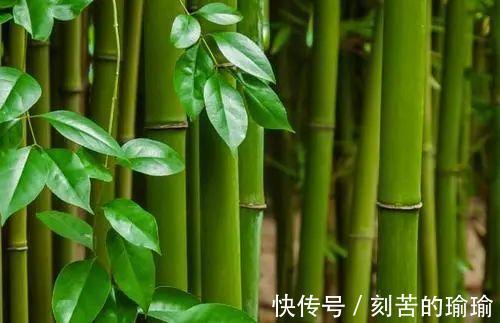 寇准$古人智慧15个机智又有趣对联故事！