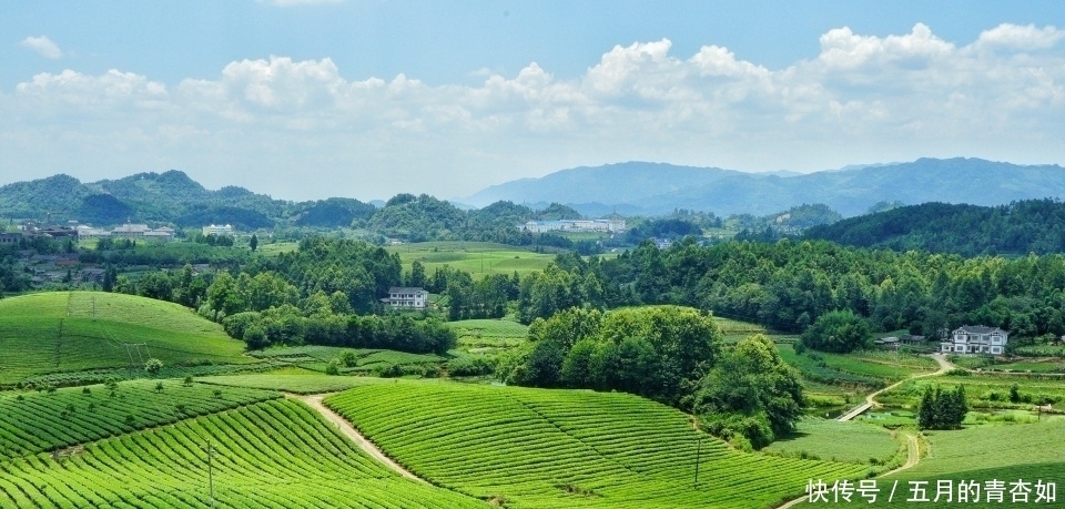 我国西南地区不仅风景奇秀，还有独具风情的少数民族增添神秘感