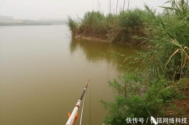 浮漂|钓鱼警惕渔具“拾荒者”,小心再给你来个顺手牵羊!