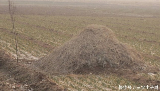  俗语|农村俗语“雨打灵辈辈穷，雨打墓辈辈富”，是什么意思?