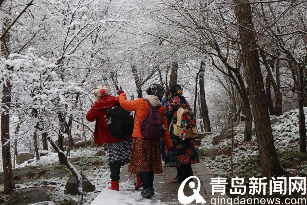 景区|崂山巨峰景区正常开放 游人雪中登崂山