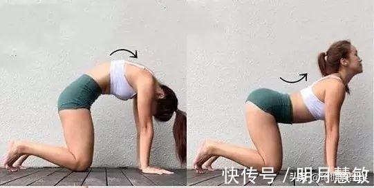 双膝|11个瑜伽动作,教你“全方位”放松下腰背部(瑜伽小白也可以做)