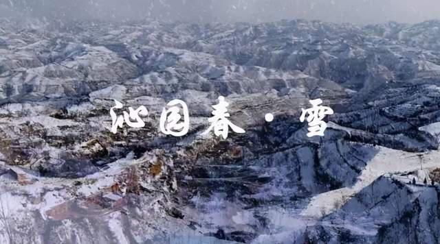  冬天|冬天里的一把火——暨二十四节气专属花神：大雪VS红花羊蹄甲