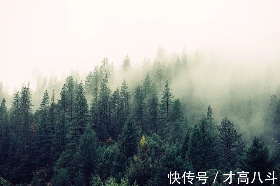 木柴&敬天,敬地,敬自己!