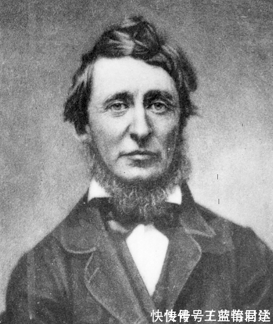 瓦尔登湖#梭罗崇尚大自然,伟大作品《瓦尔登湖》中十句格言,暗含人生真谛