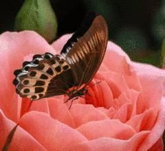 人心&良言20句,见证人心,看透人性看一次胜读十年书