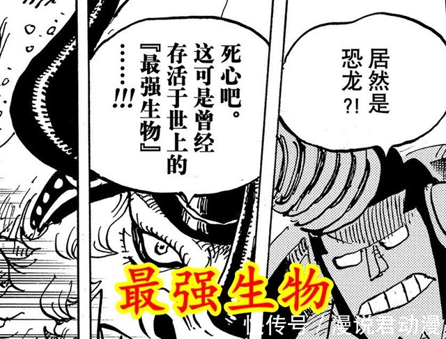 海贼王|海贼王:奎因触碰两大潜在定律,双重毒奶buff加身