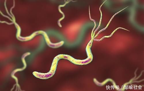 口臭|养胃“冠军”找到了,平时敞开喝,撵走幽门螺杆菌,口臭也没影了