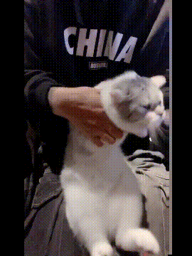 |搞笑GIF:不管这个女孩在哪个城市,我一定要得到她