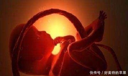 不孕不育|为什么怀孕期间会突然胎停, 不少孕妈都发生过却不知道原因