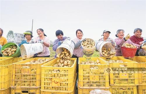 2021年3月31日焦点图