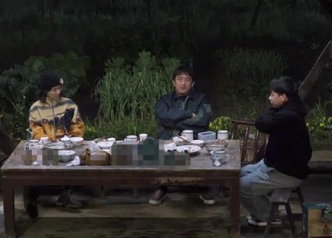 杨紫|《向往5》小算盘落空，杨紫离开节目后，老友记播放次数直线下降